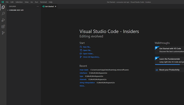 Consuming REST APIs in Golang